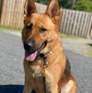 Meet your Posher, Pamela bowman